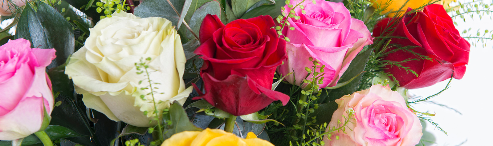 Flores en San Valentín: Ramo de rosas multicolor