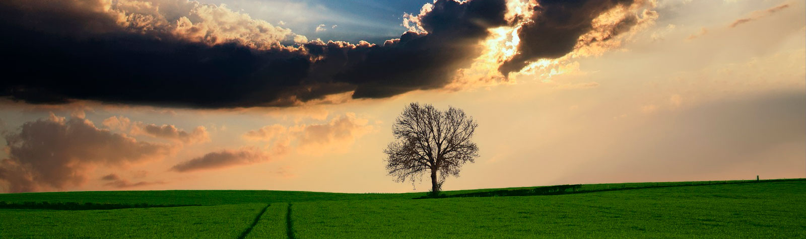 Día mundial del Medio Ambiente