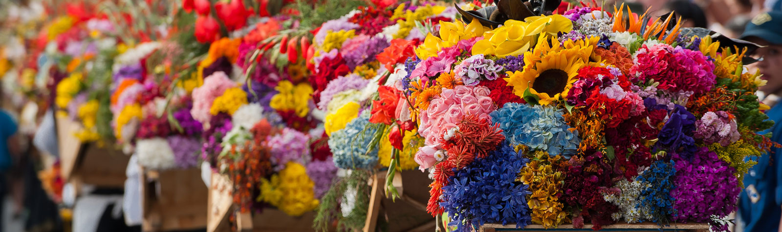 Fiestas florales alrededor del mundo