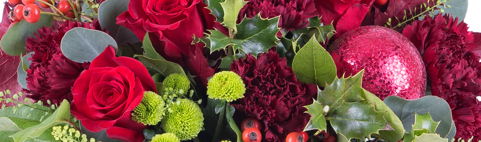 Nuevos centros y plantas de Navidad