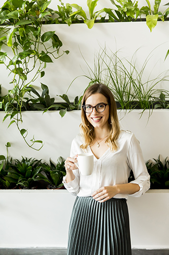 mejores plantas de interior para la oficina