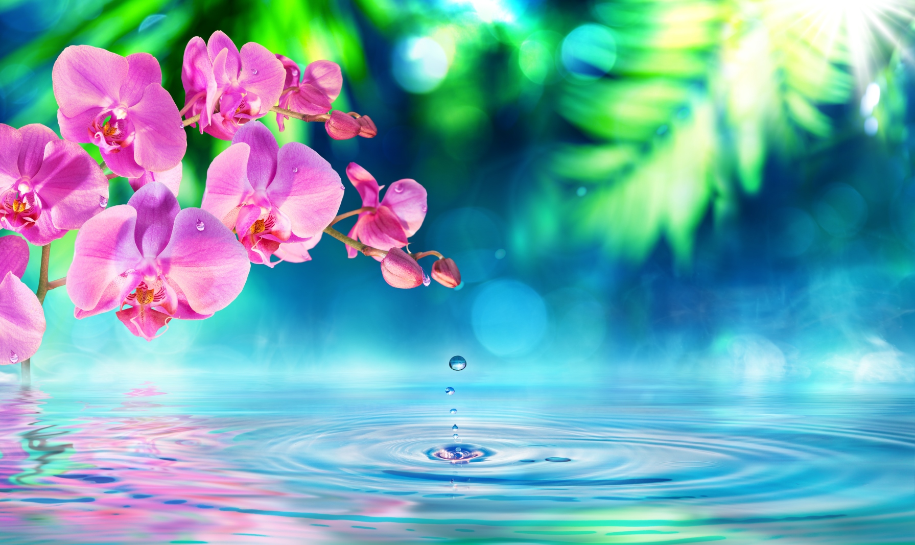 Consejos para cuidar tus flores en verano y mantenerlas frescas en vacaciones