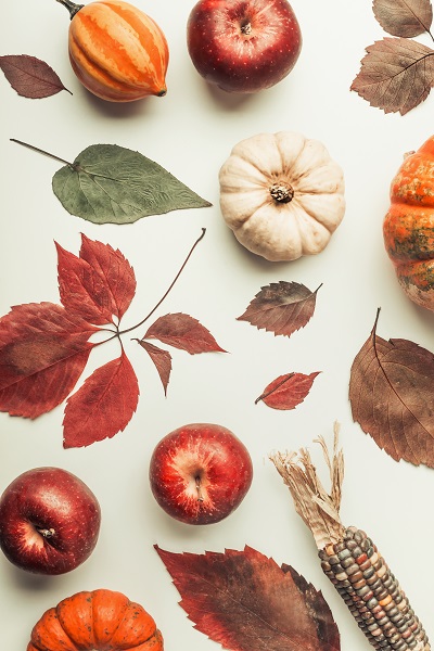 bodegón de hojas y calabazas para el otoño