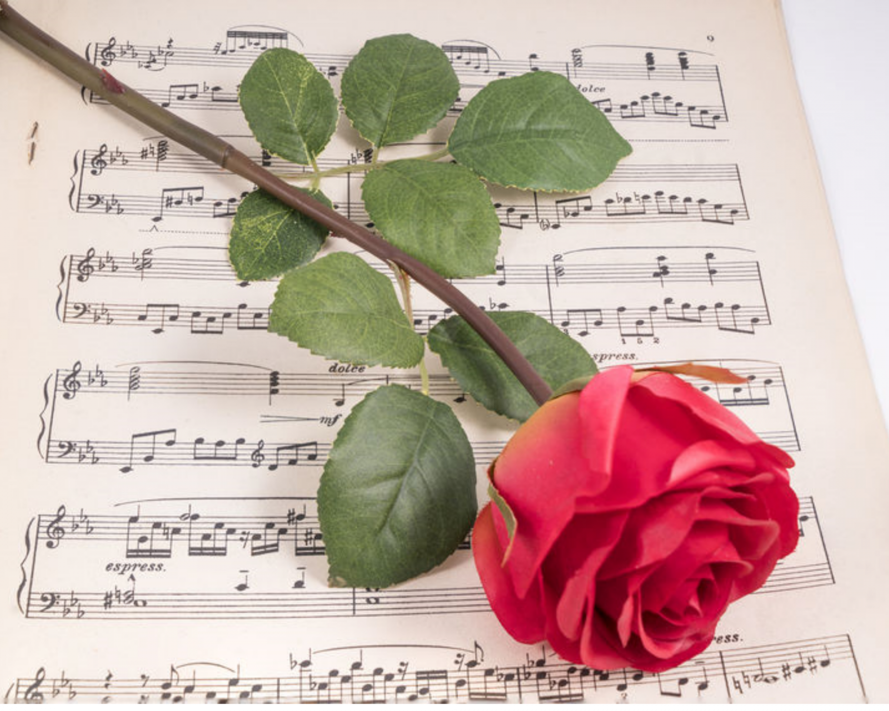 Regalar flores y música San Valentín