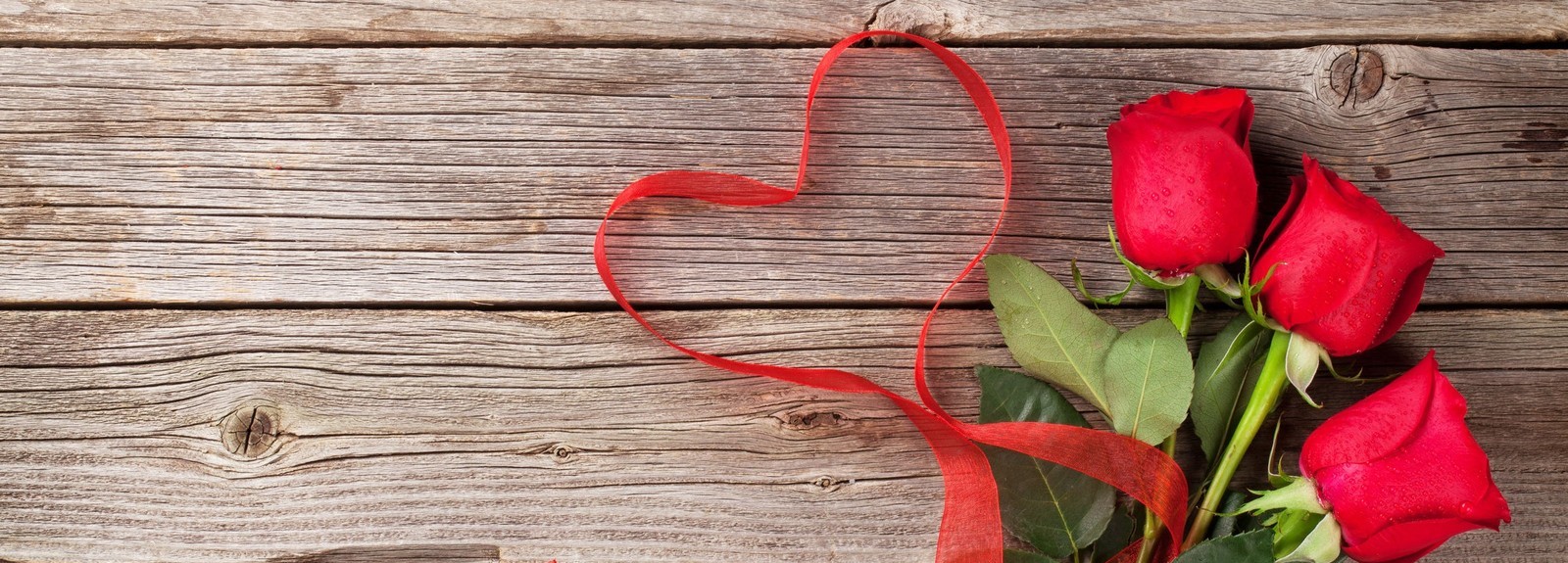Las mejores flores para regalar en San Valentín