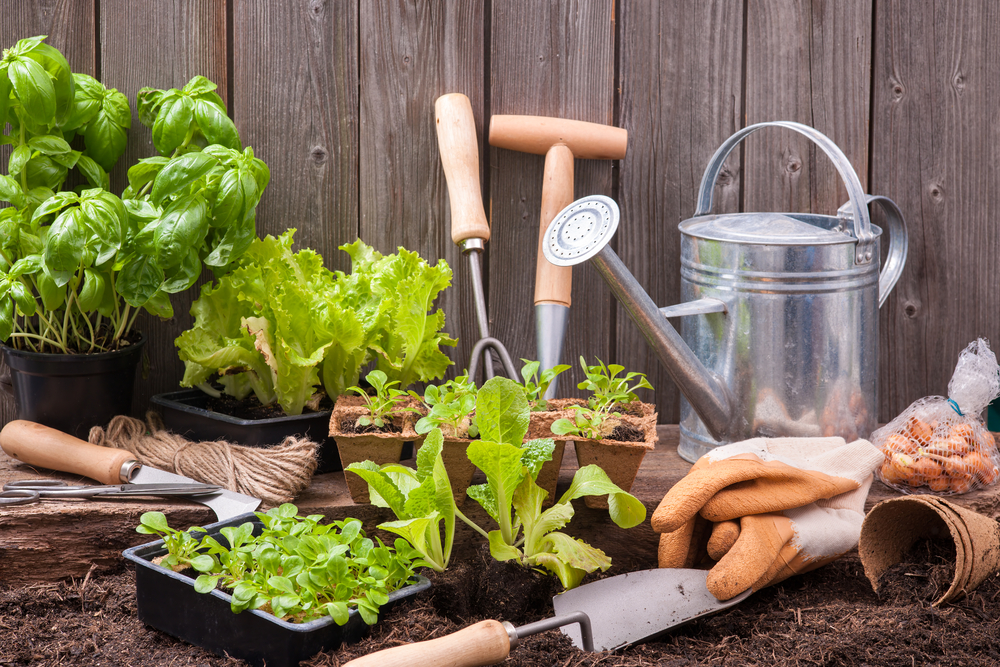 Herramientas de jardinería