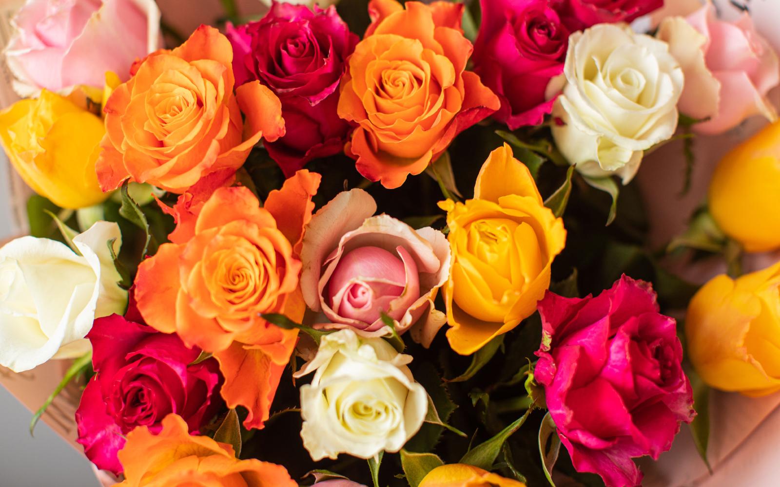 El significado del color de las flores
