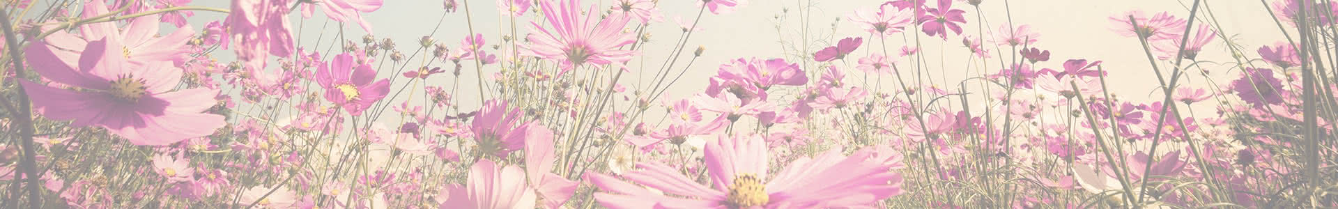 ¿Por qué regalar flores frescas frente a las artificiales?