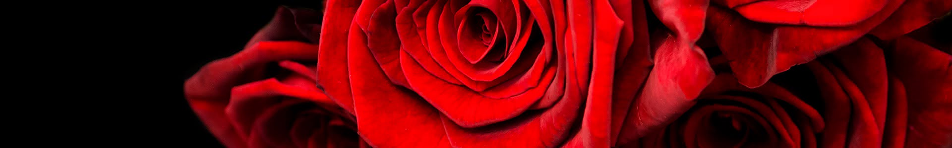 Consejos e ideas para un San Valentín de película