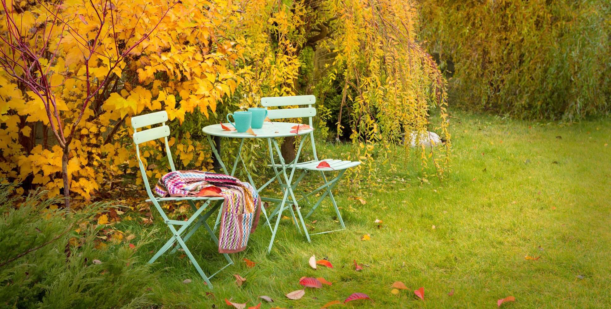 Cómo cuidar tu jardín en otoño