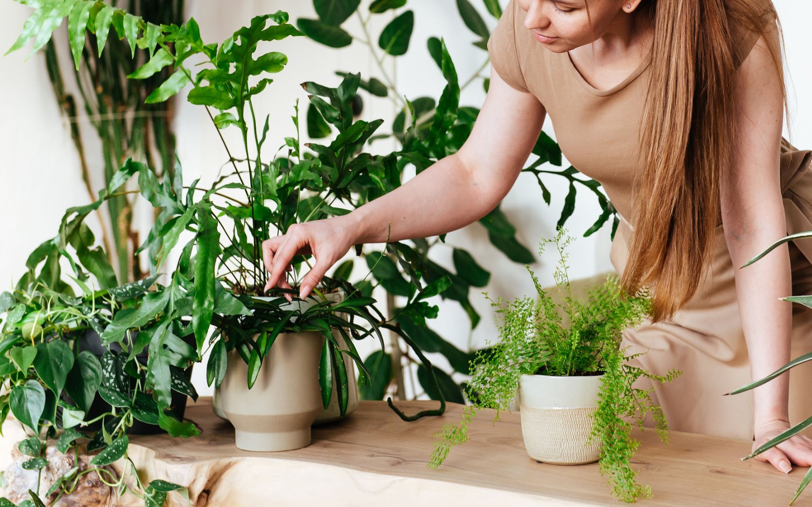 Ideas para tener la naturaleza en casa