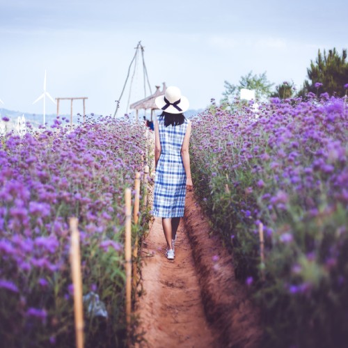 que significa el color morado en el feminismo