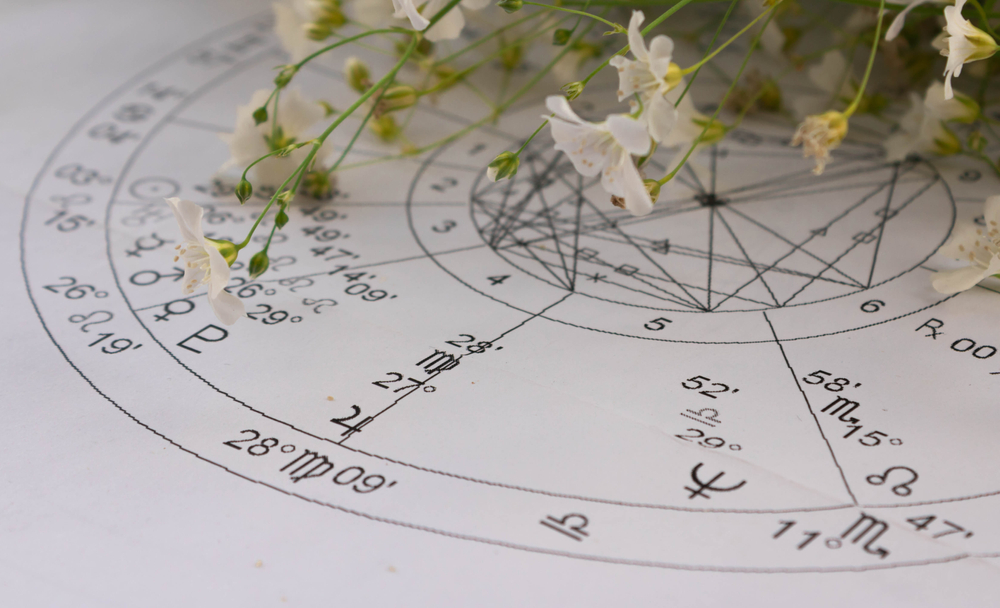 ¿Cuál es tu flor según tu signo zodiacal?