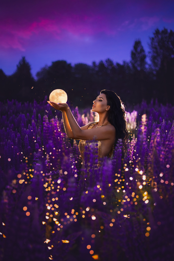Magical night with flowers