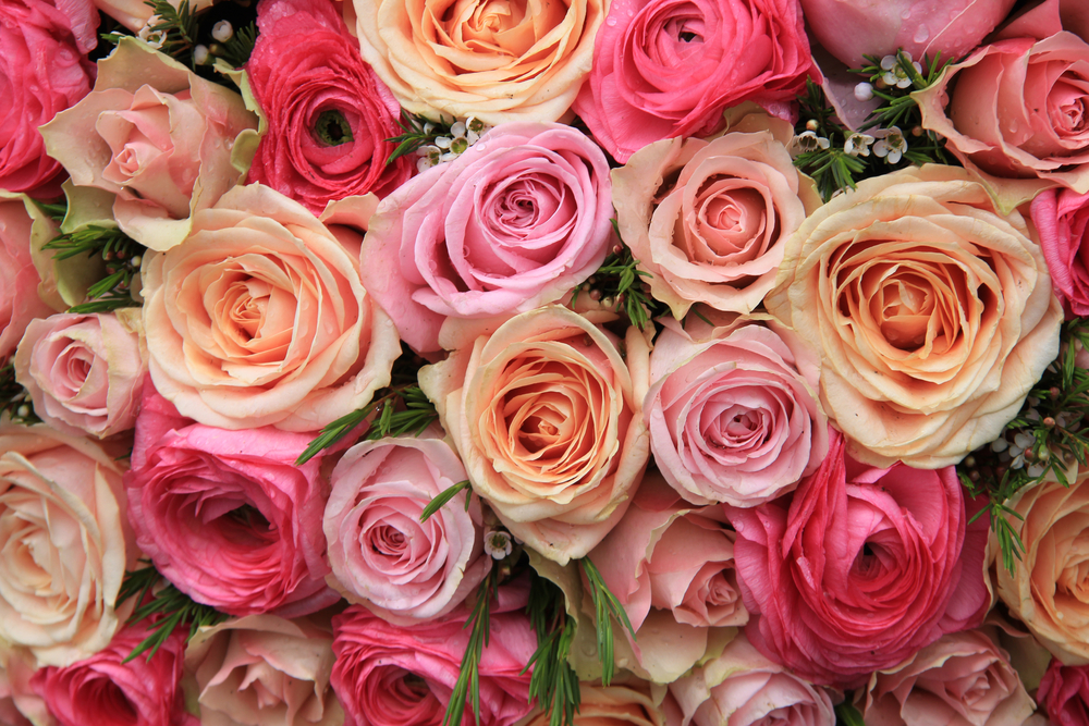 Qué flores le puedo regalar a mi abuela? | Interflora