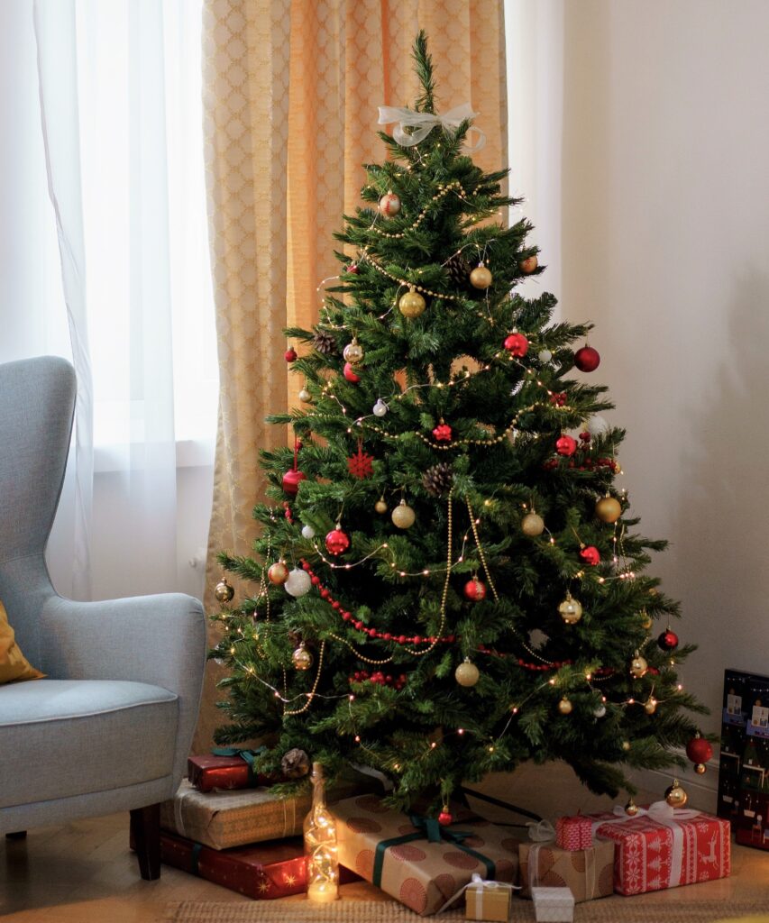 Como cuidar arbol de Navidad natural