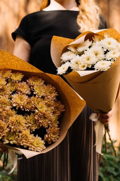 flores de noviembre