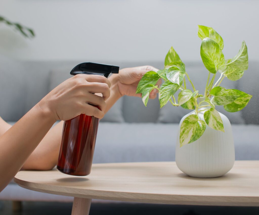 Regar plantas verano