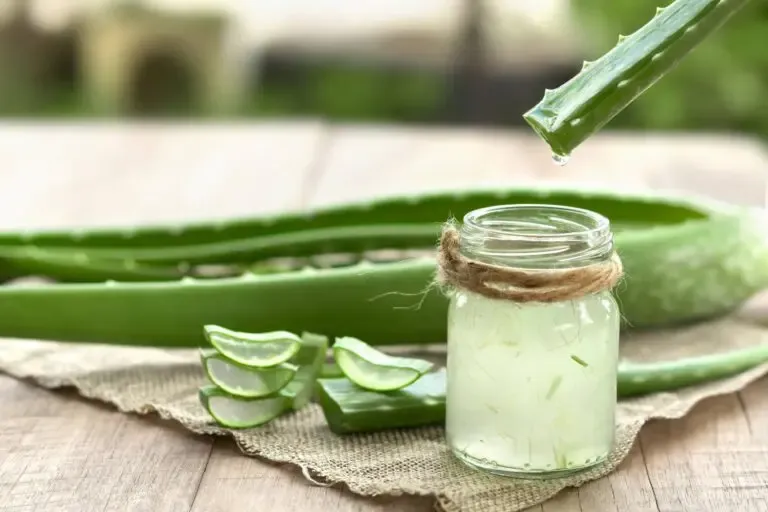 gel de aloe vera