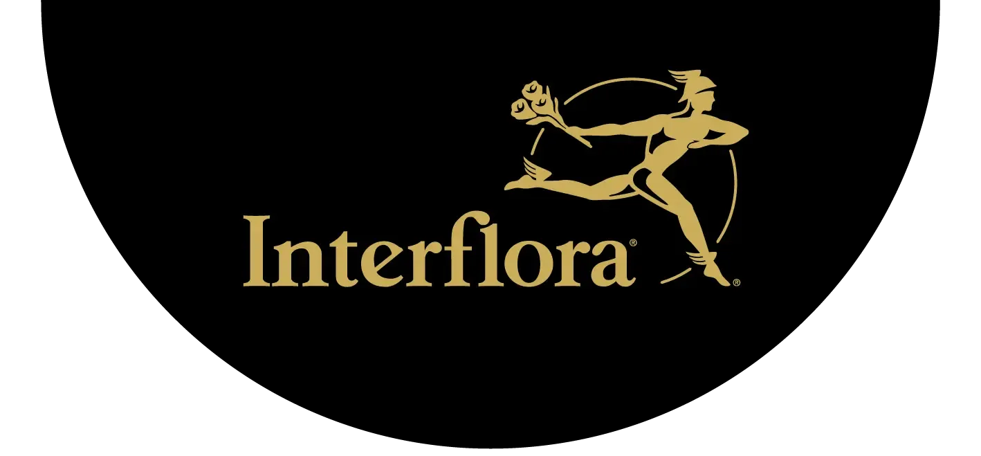 El blog de Interflora : consejos, ideas e inspiración para disfrutar de las flores y las plantas