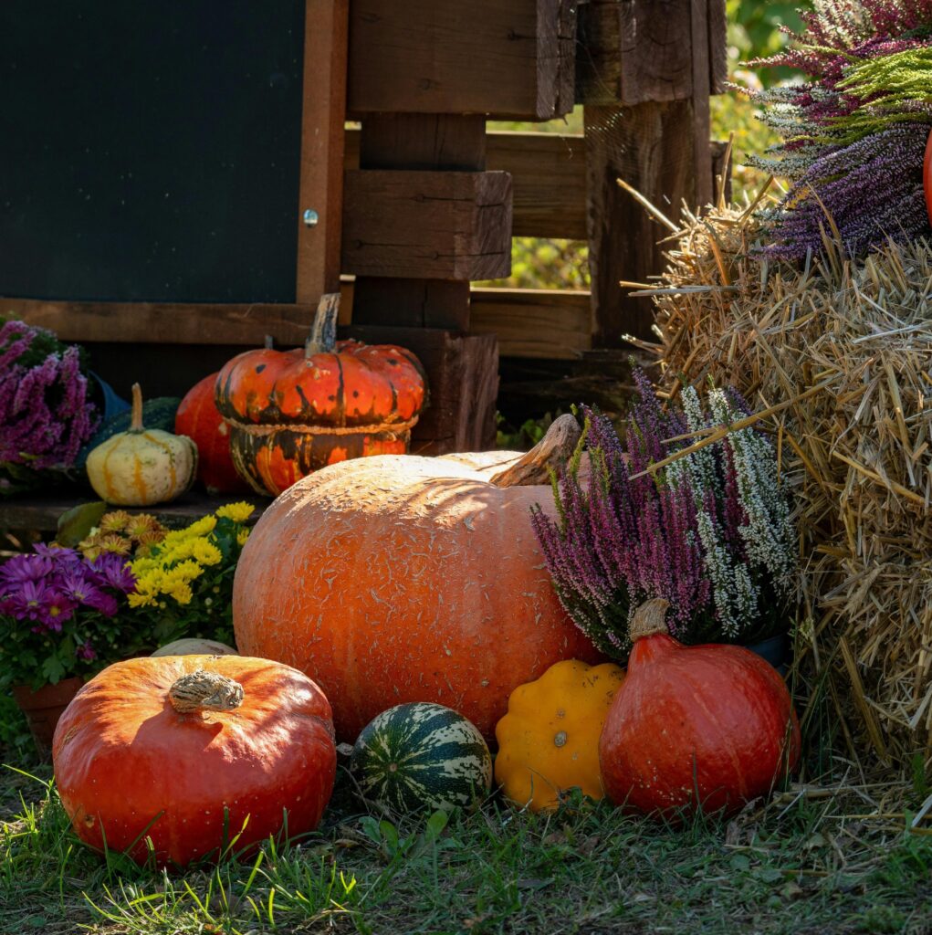Calabazas corona de otoño