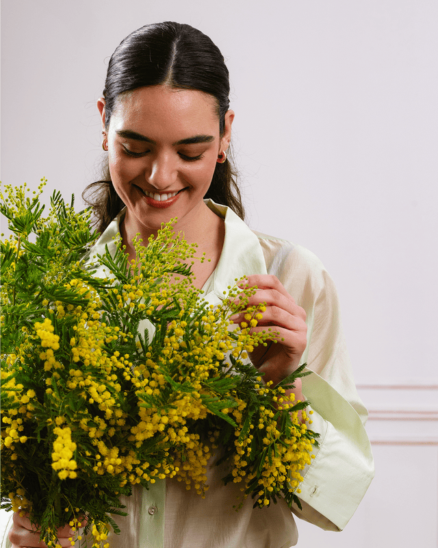 Mimosa: significado y cuidado de una flor de invierno| Interflora