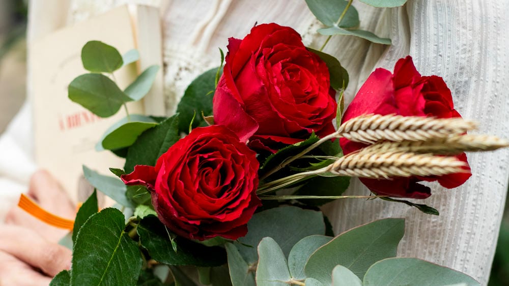 Dedicatòries de Sant Jordi originals per acompanyar el teu llibre o la teva rosa 