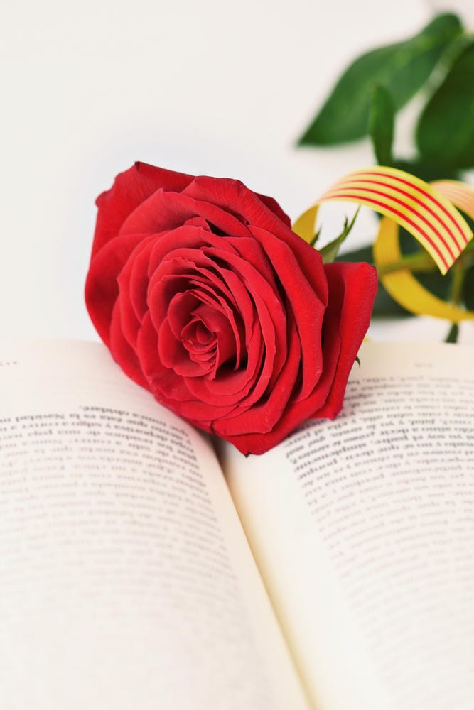 Poemes de Sant Jordi 