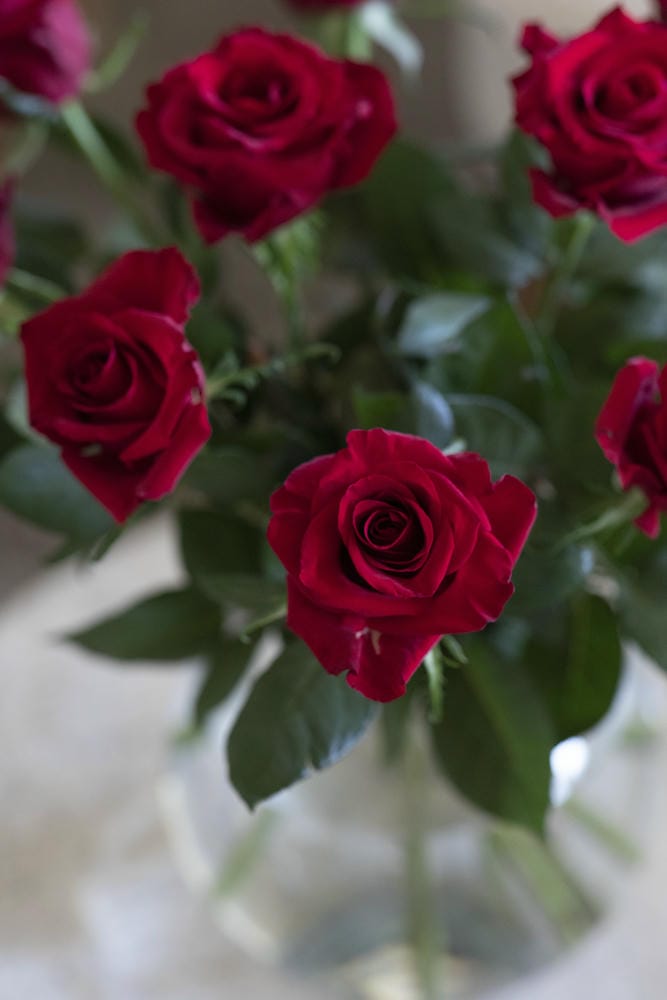 La leyenda del Día de Sant Jordi