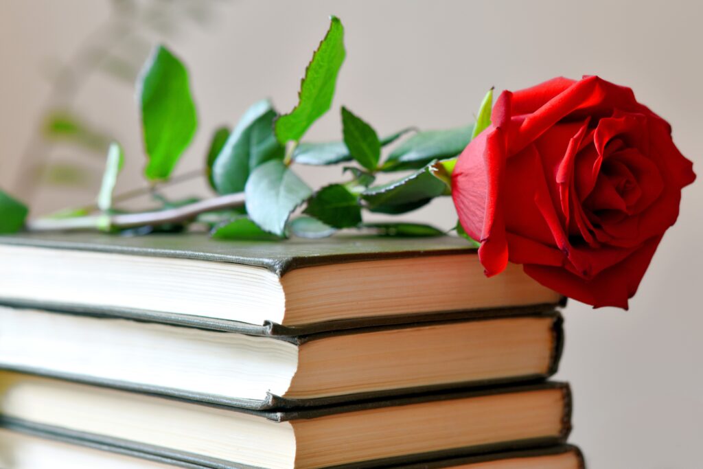 Libros para regalar en Sant Jordi 2026: el regalo perfecto para acompañar tus rosas