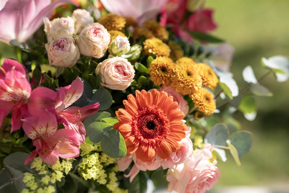  ¿Cuáles son las flores más bonitas para el Día de la Madre? 