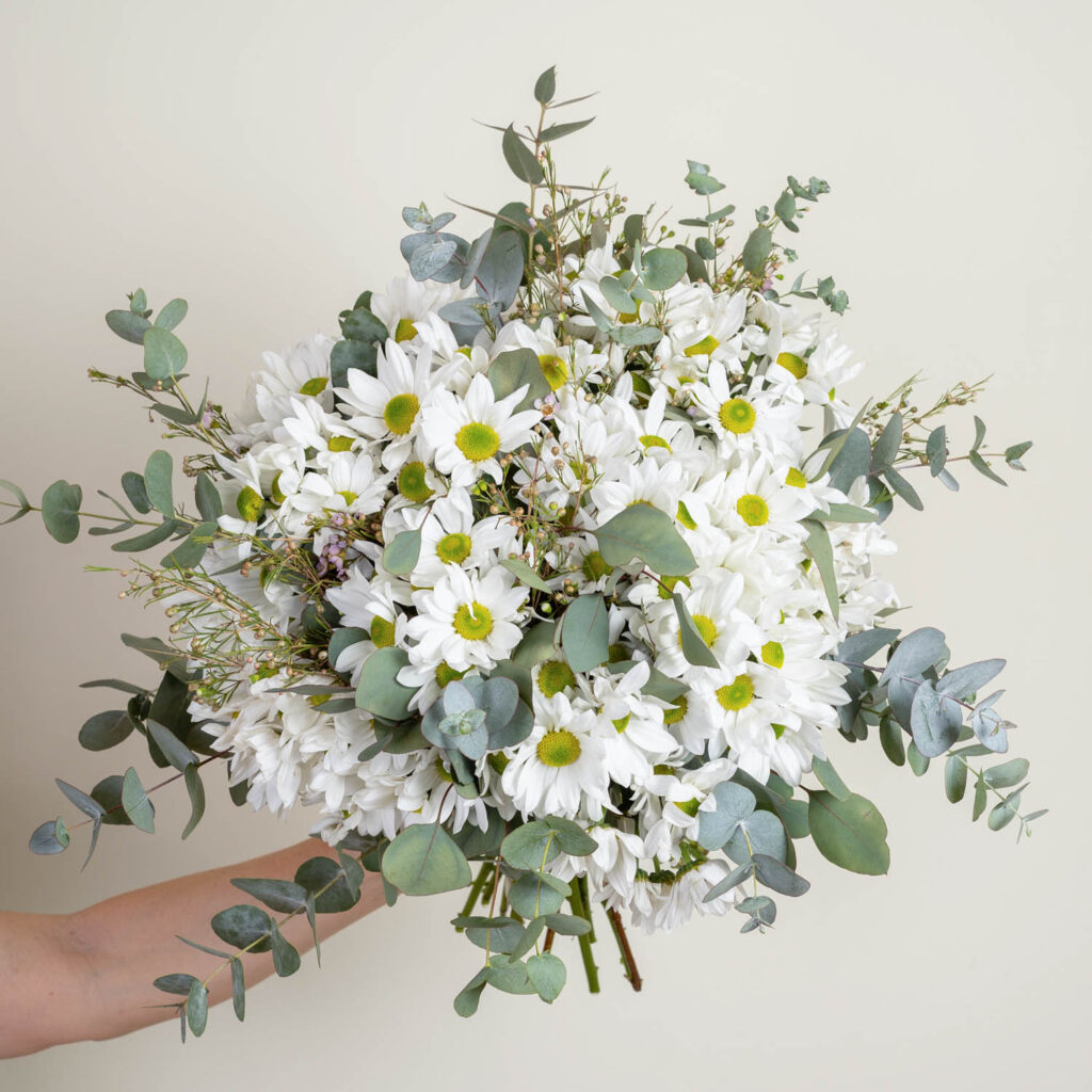 Las flores más baratas según la temporada: ¡descubre nuestro calendario floral!