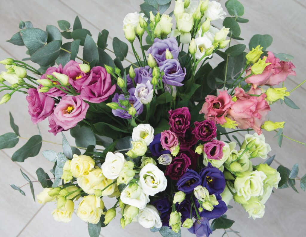 Lisianthus para bodas