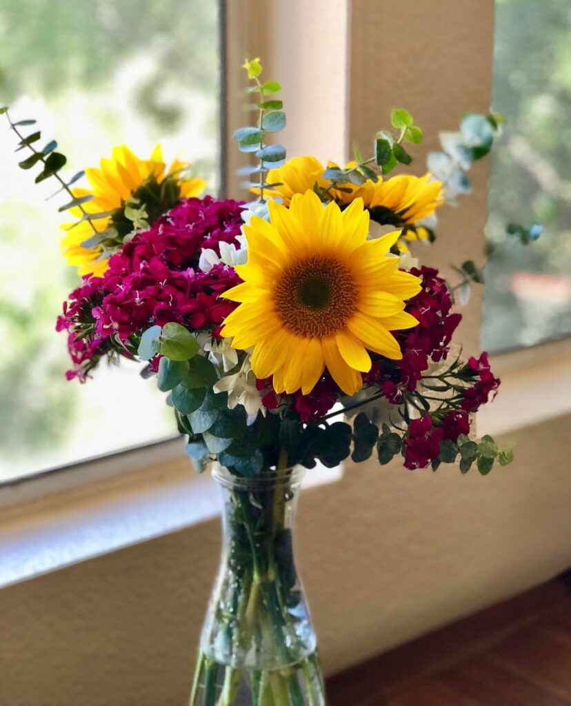 Cuida tu girasol en jarrón