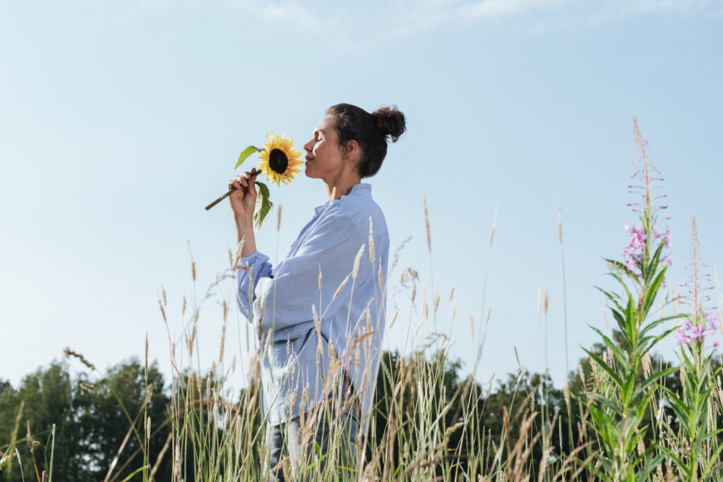 Las diez flores más resistentes al sol directo en verano