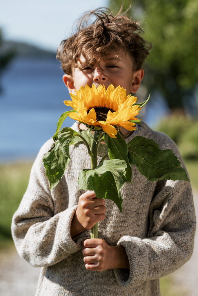 ¿Cómo hacer girasoles de papel?