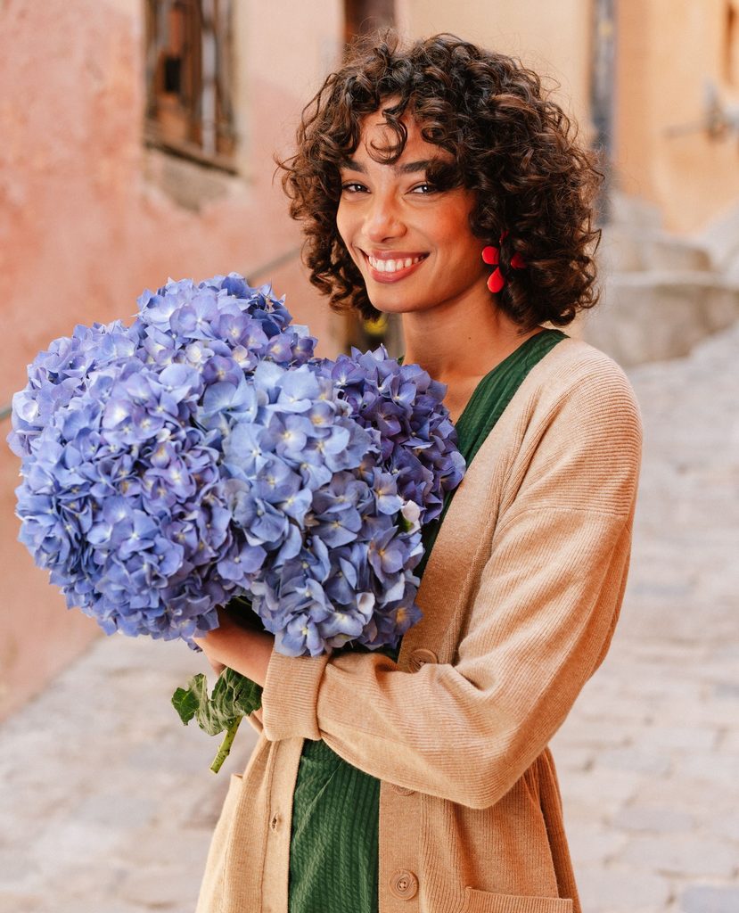 Hortensias azules