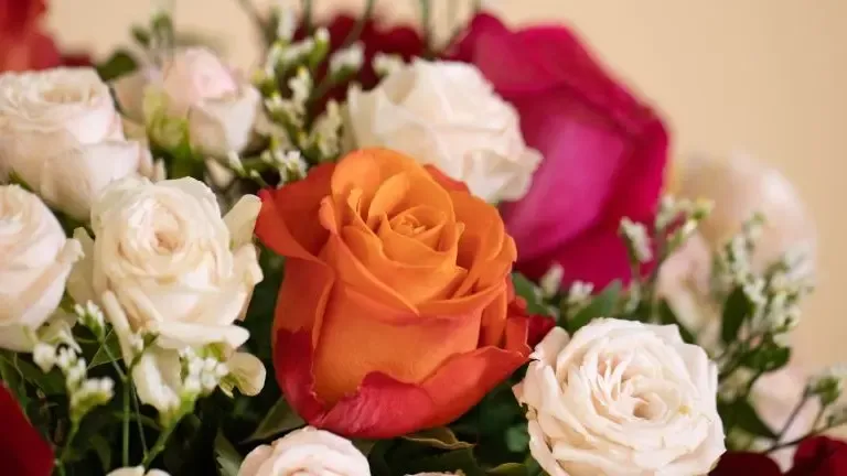 Gen ramo de rosas
