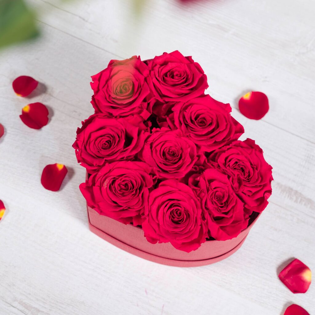 caja de rosas rojas preservadas