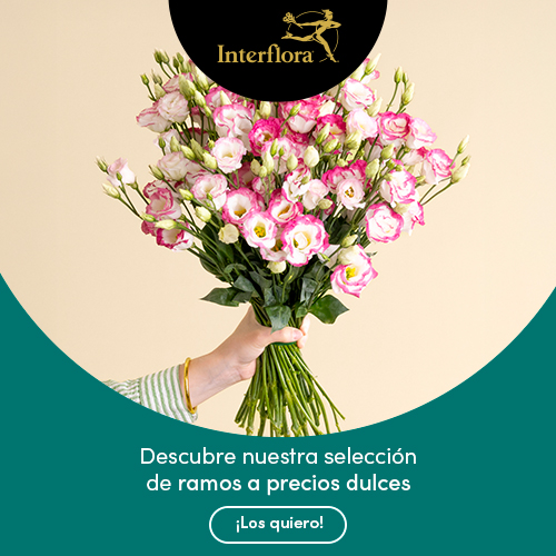 Descubre nuestra selección de ramos a precios dulces.