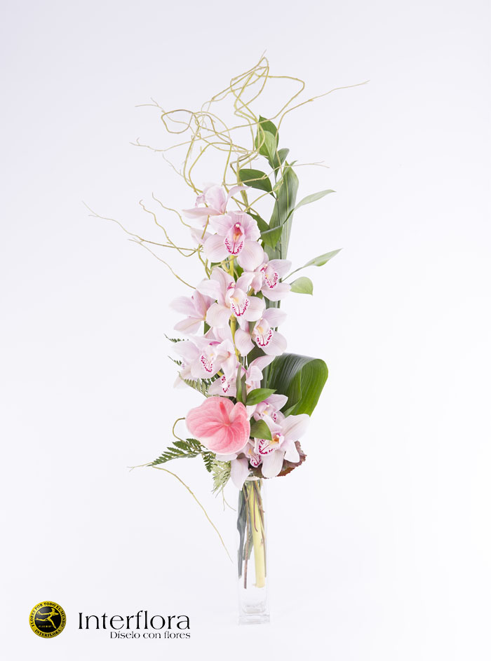 Orquideas domicilio interflora