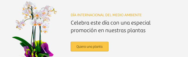 DIA-MEDIO-AMBIENTE_home
