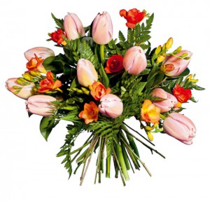 Details 100 picture interflora tulipanes