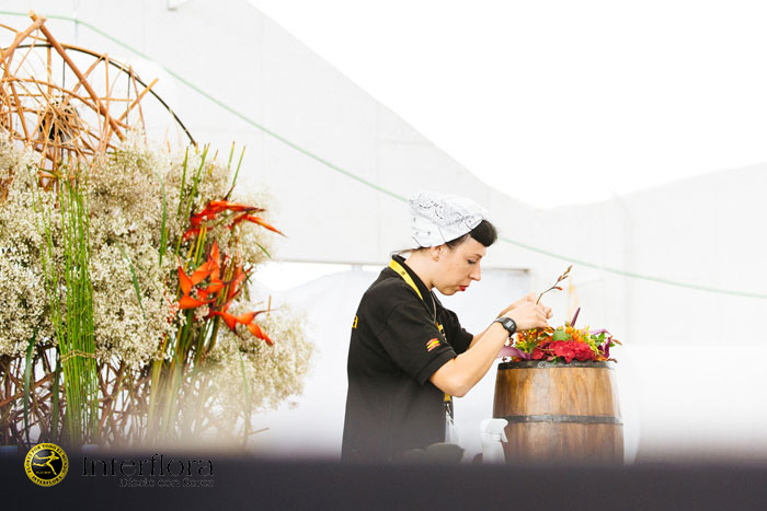 _MG_3749 copia