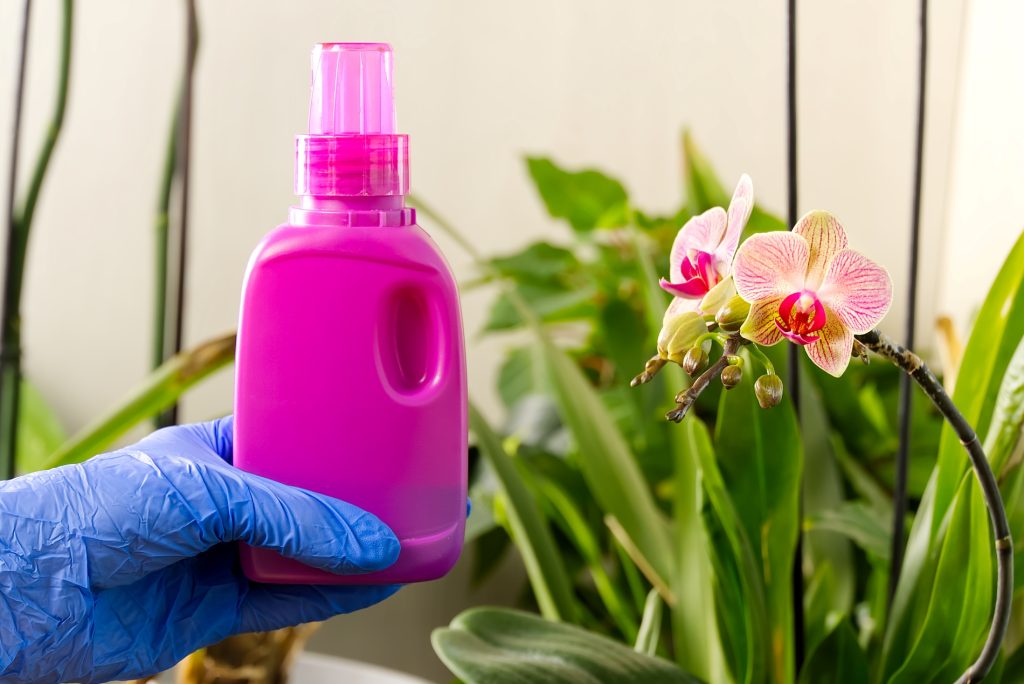 Fertilizante para orquídeas