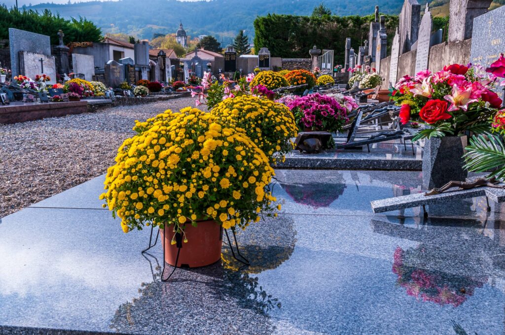 plantas cementerio