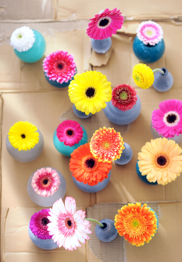 gerbera2