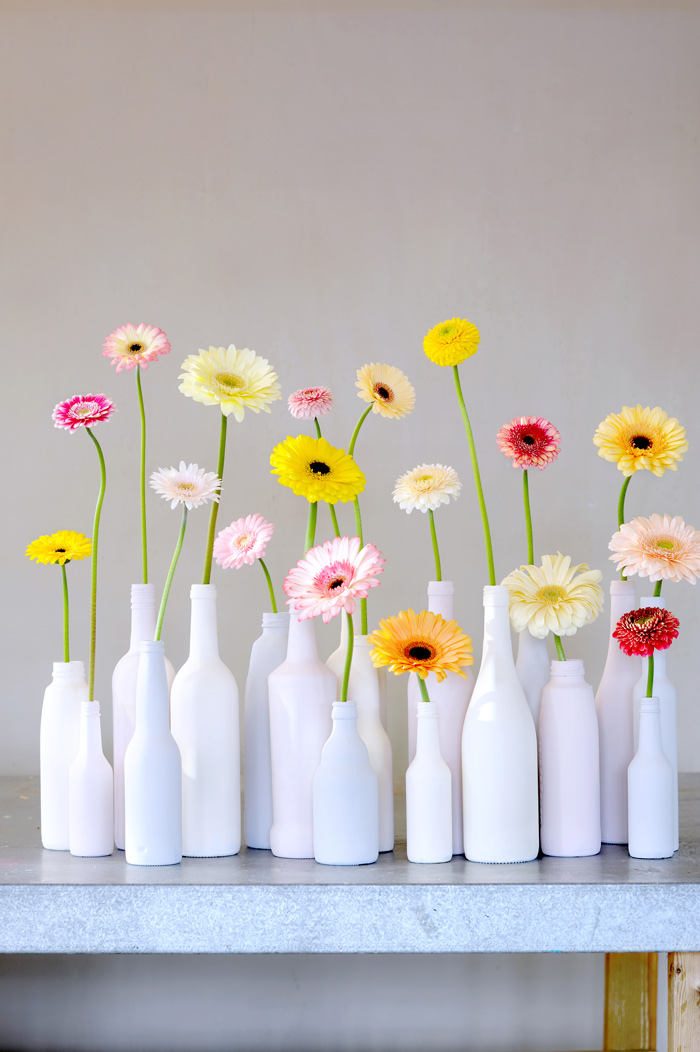 gerbera5