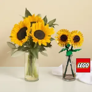 Dúo Brillante LEGO®