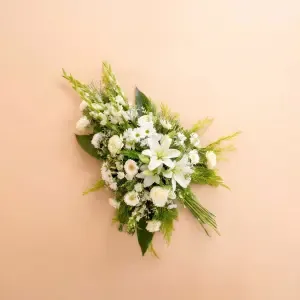 Palma Luz Eterna